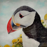 Puffin Portrait