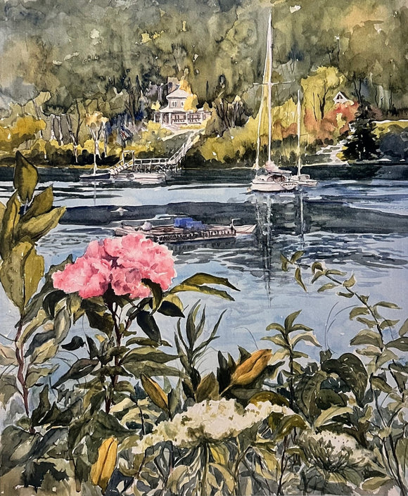 South Bristol Wildflowers