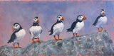 Puffin Personality