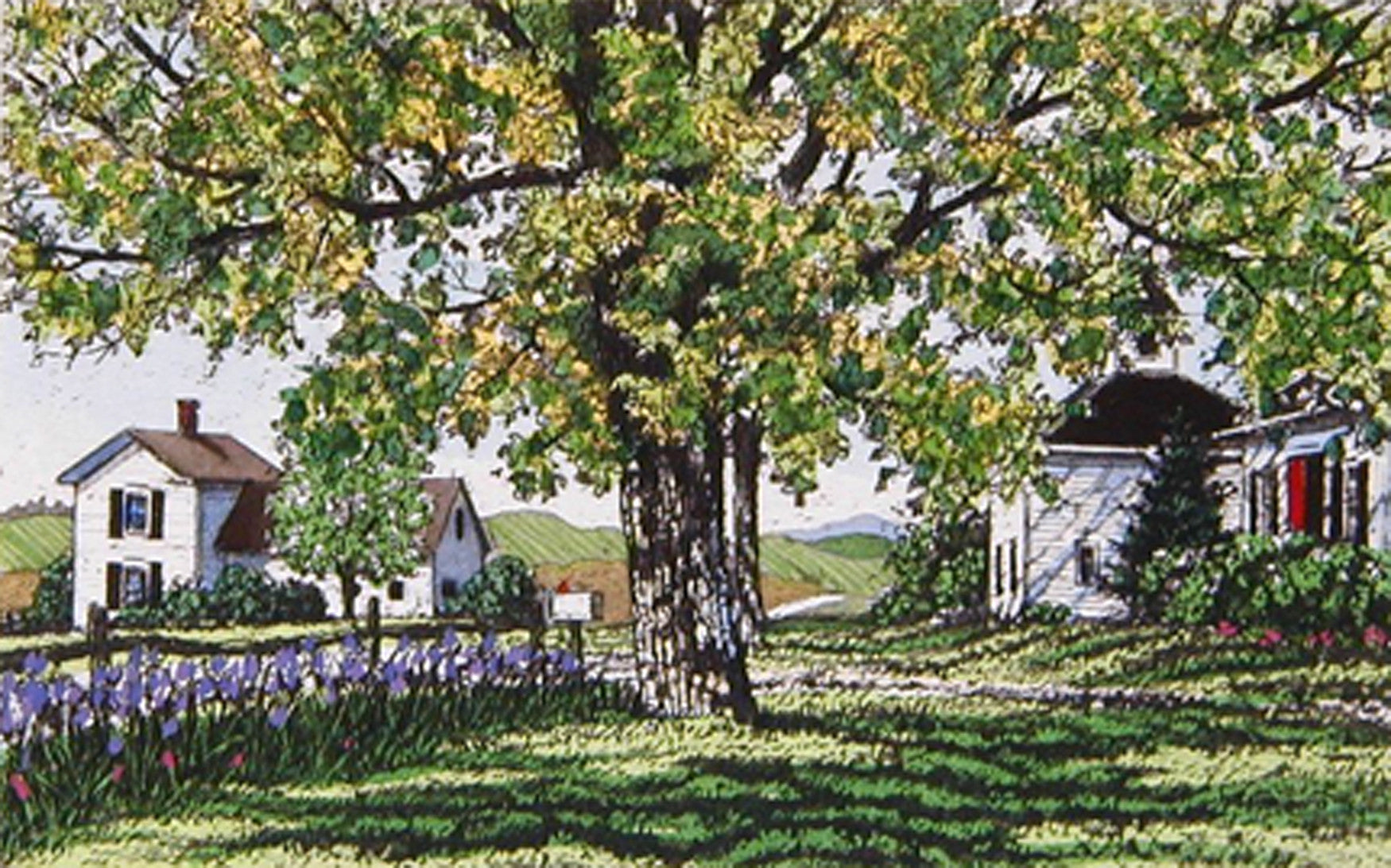 Carol Collette – Small Wonder Gallery